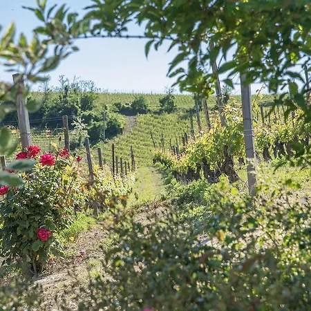 Cascina Sorba Дом отдыха